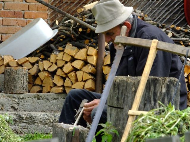 Whittling replacement teeth for his wooden rake.